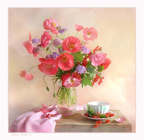 маки - букет, цветы, маки - оригинал