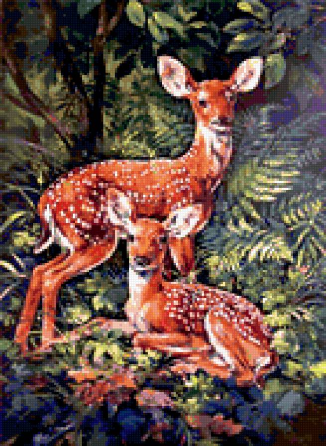 0082 - природа, олени, красота, картина, лес - предпросмотр