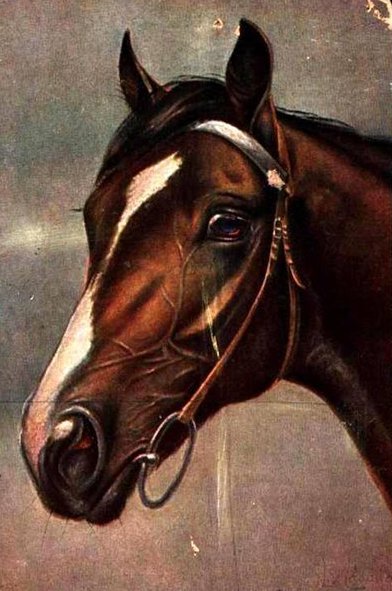 №314171 - оригинал