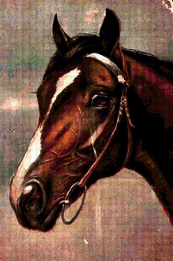 №314171 - предпросмотр