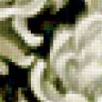 Предпросмотр схемы вышивки «белые хризантемы» (№314187)