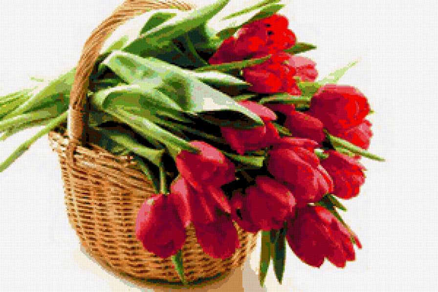 тюльпани - тюльпани, квіти, букет - предпросмотр