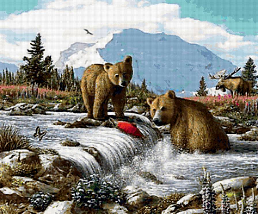 Дикая природа - река, природа, мишки, пейзаж - предпросмотр