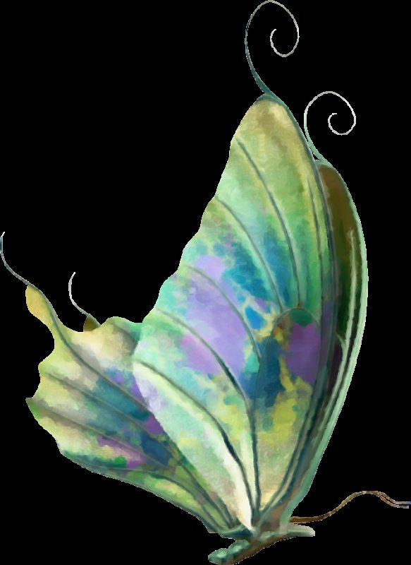 №314373 - бабочка, картина, подушка - оригинал