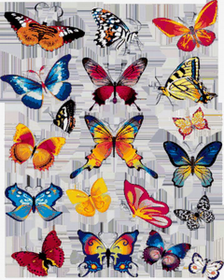№314374 - картина, подушка, бабочка - предпросмотр