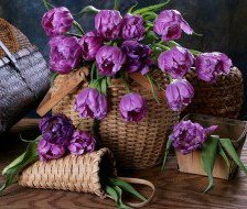 Схема вышивки «тюльпани»