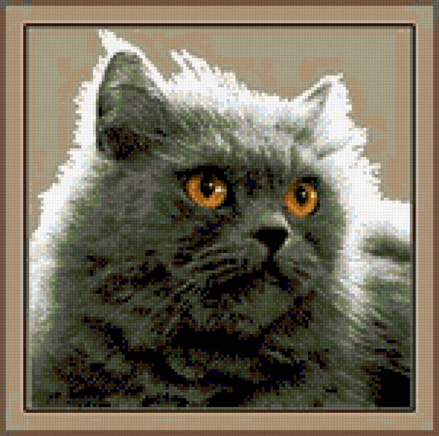Серый кот - кот, животные - предпросмотр
