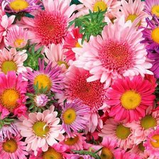 Схема вышивки «цветы»