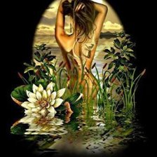 Схема вышивки «купальница»