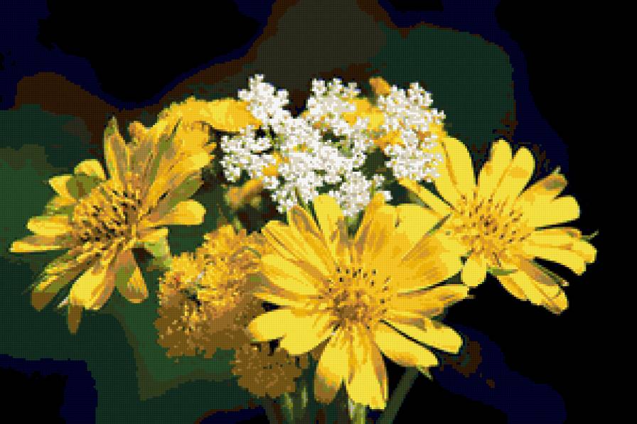 №314808 - букет, хризантемы, цветы - предпросмотр