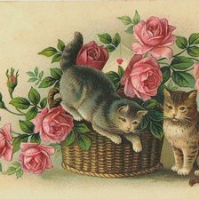 Схема вышивки «розы»