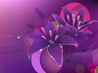 №314913 - оригинал