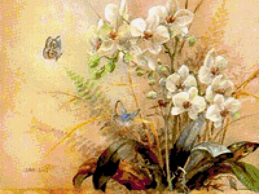 Орхидея - красота, цветы - предпросмотр