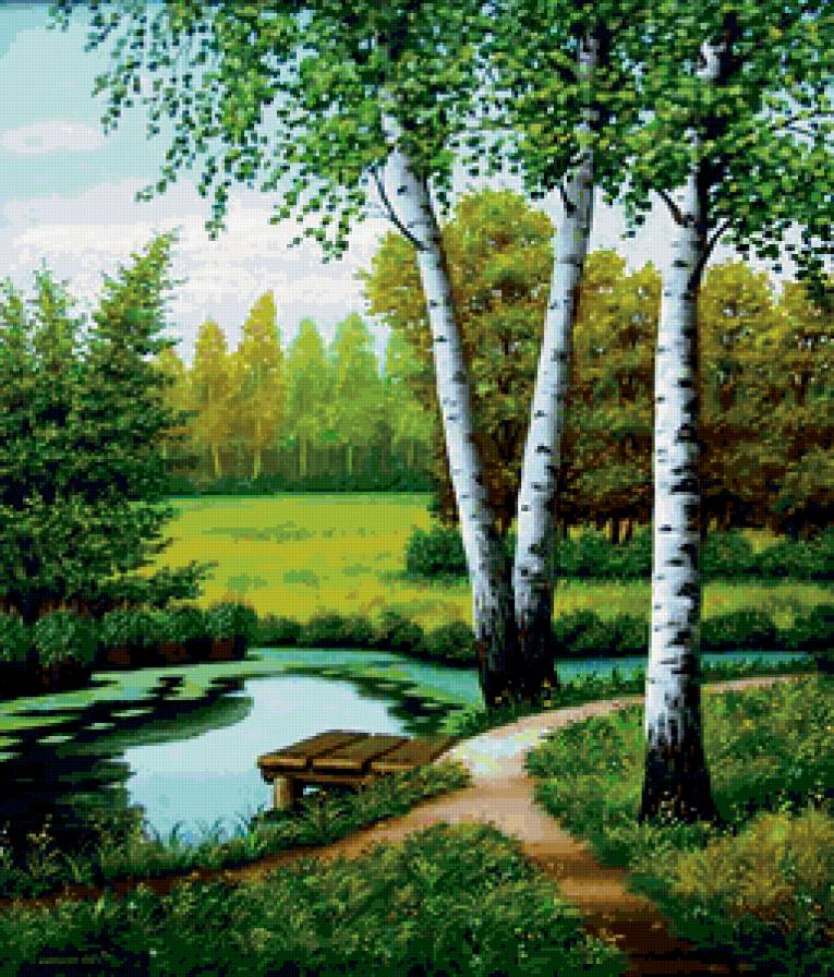 Березки - природа - предпросмотр