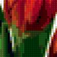 Предпросмотр схемы вышивки «тюльпаны» (№315279)
