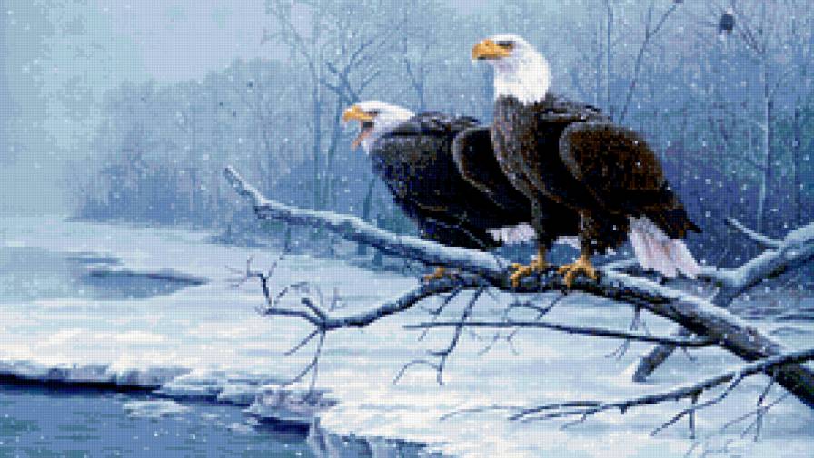 №315379 - предпросмотр