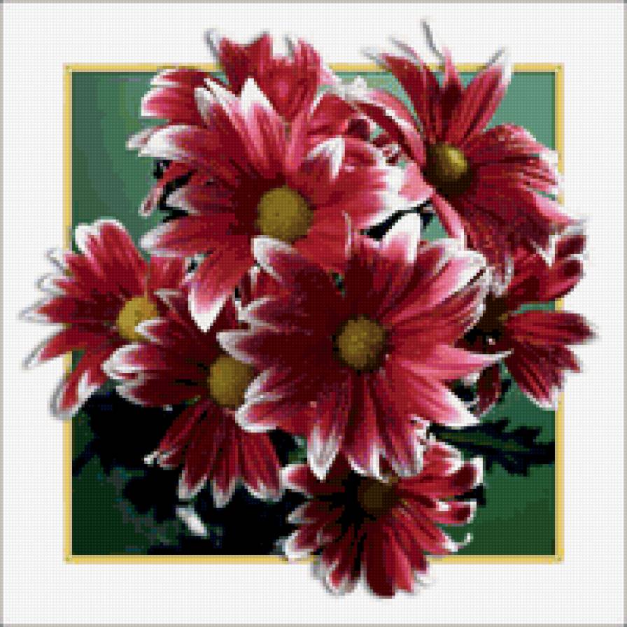 цветы - предпросмотр