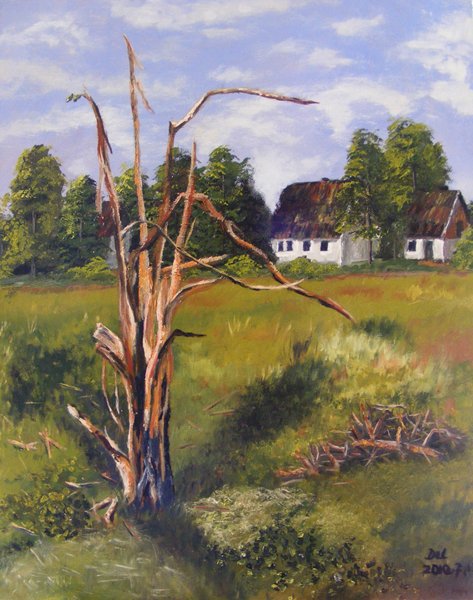 №315523 - оригинал