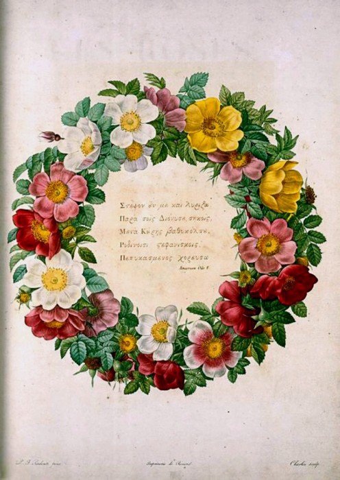 Венок из шиповников - оригинал