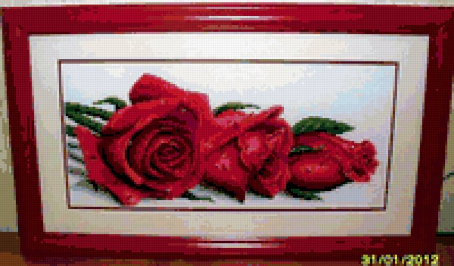 красные розы - предпросмотр