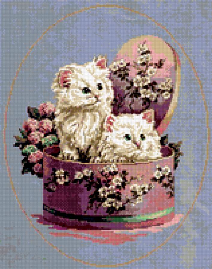 котята в коробке - предпросмотр