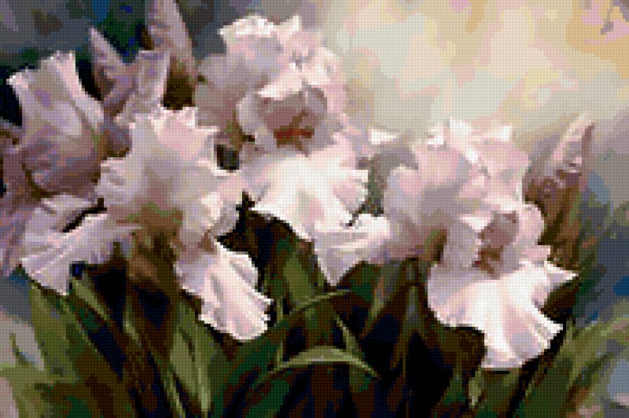 ирисы - предпросмотр