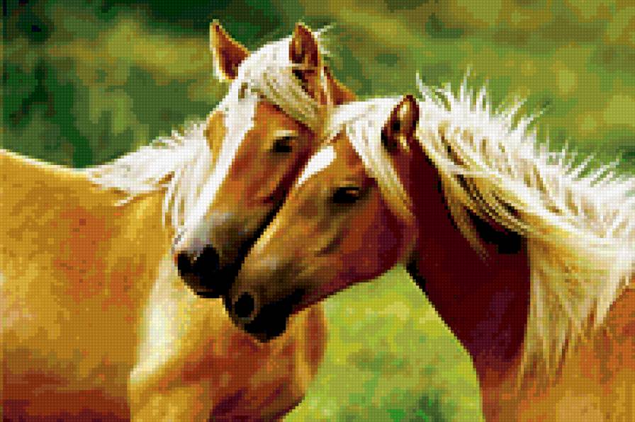 №315736 - лошади - предпросмотр