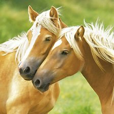 Схема вышивки «№315736»