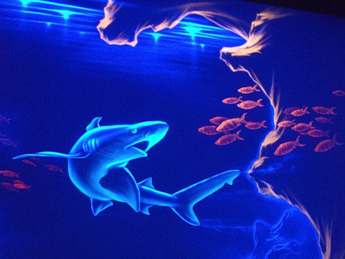 морские гдубины - рыбы, море, акула - оригинал