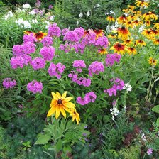 Схема вышивки «№315822»