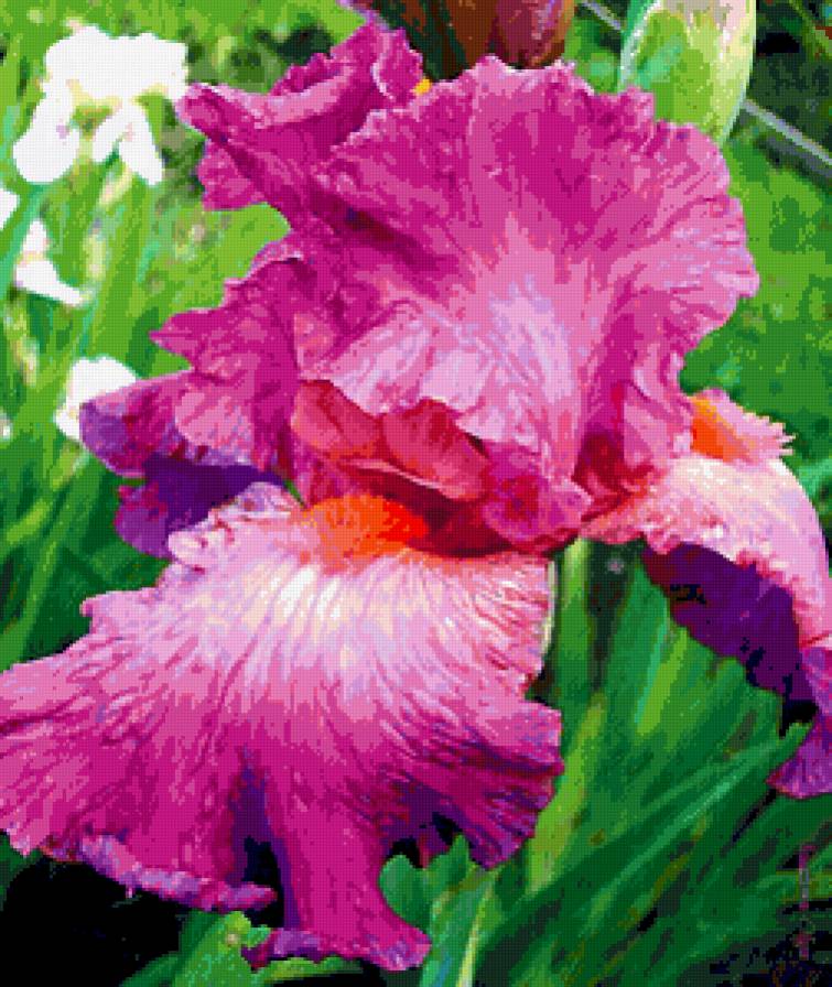 №315833 - цветы - предпросмотр