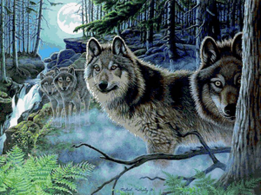 волки - волки, туман, стая, волк - предпросмотр