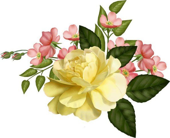 роза - оригинал