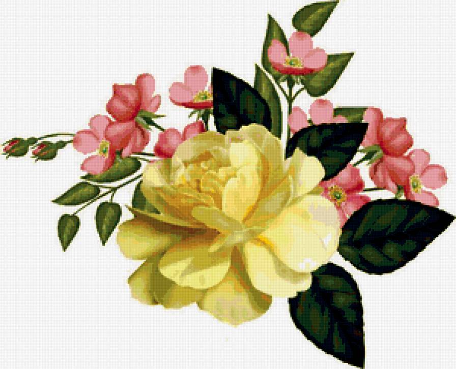 роза - предпросмотр