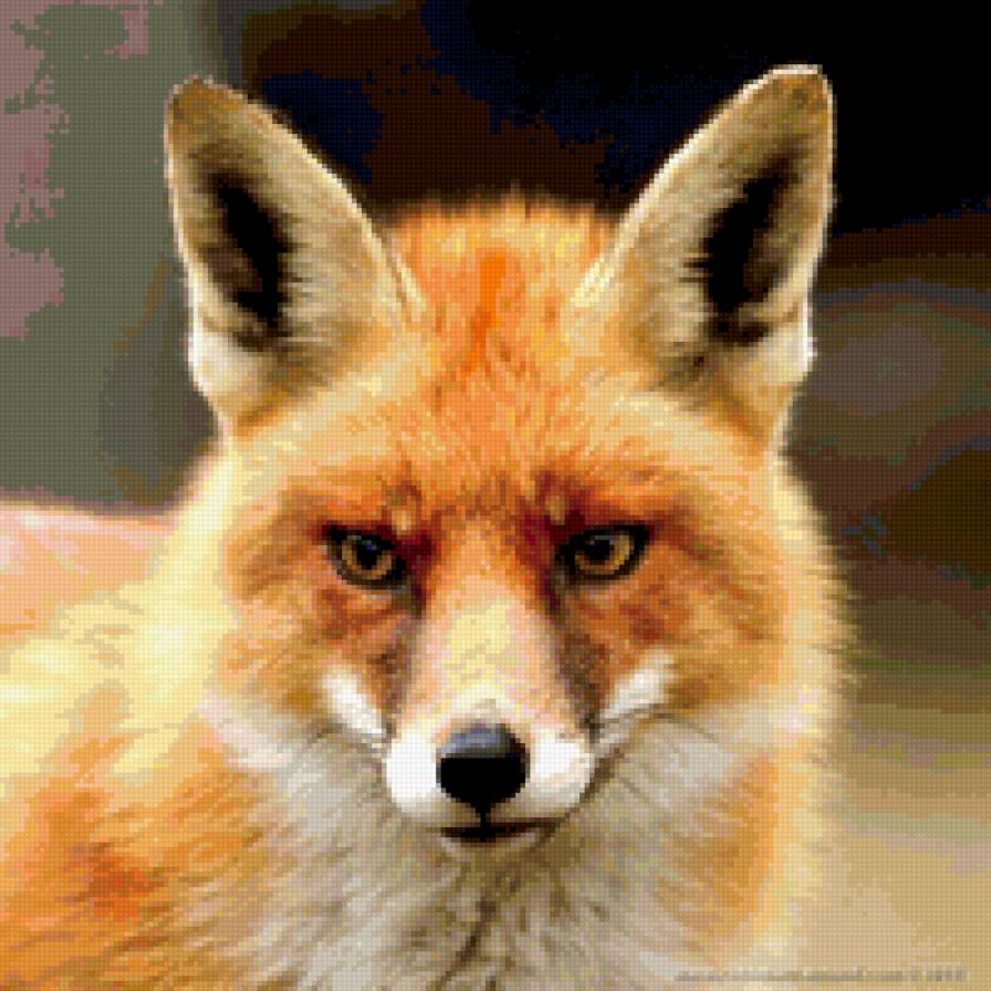 лиса - лиса - предпросмотр