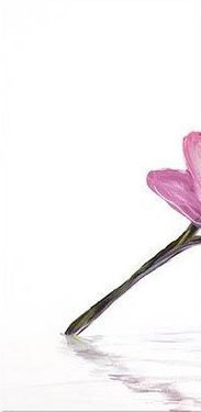 1 - триптих - оригинал