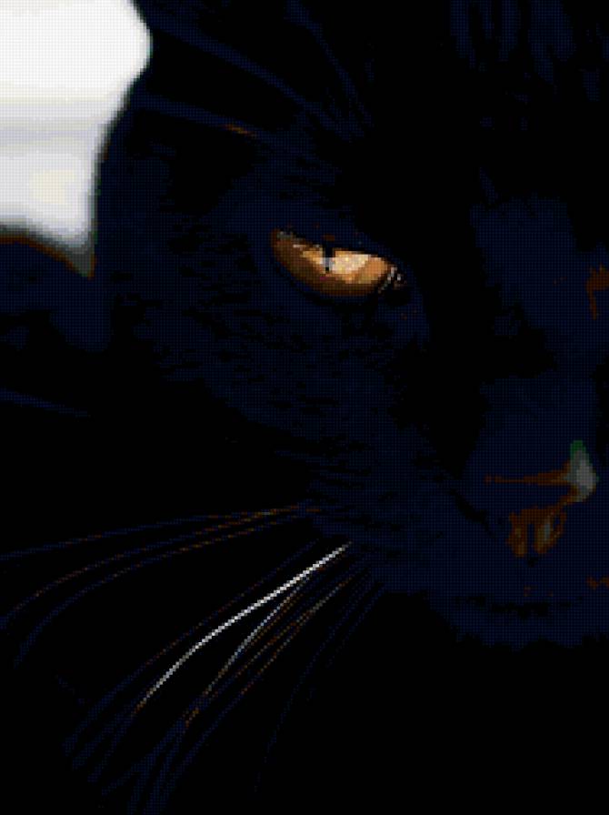 Черный кошак - кошка - предпросмотр