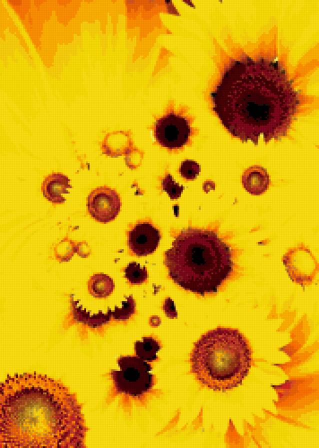 Подсолнухи - цветы, подсолнухи - предпросмотр