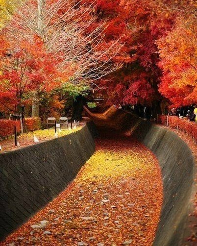 Осень - осень - оригинал