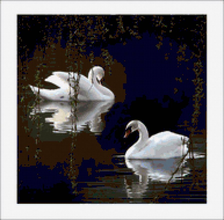 лебеди - предпросмотр