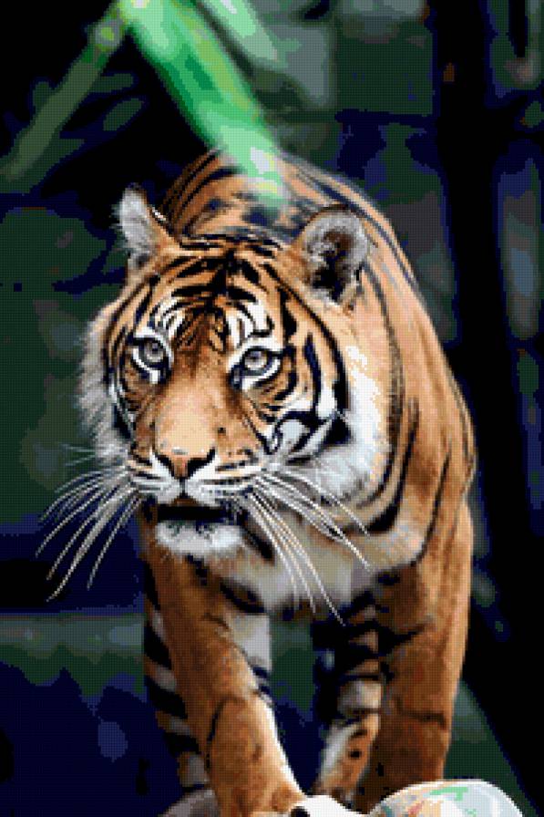 №316275 - предпросмотр