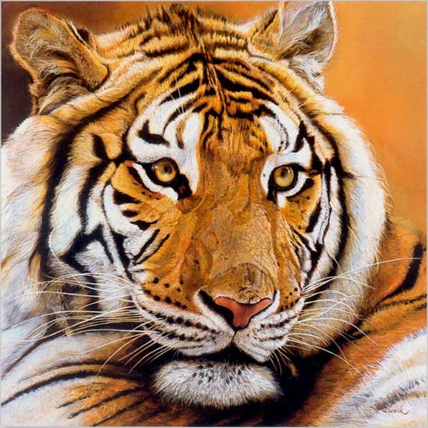 №316279 - оригинал