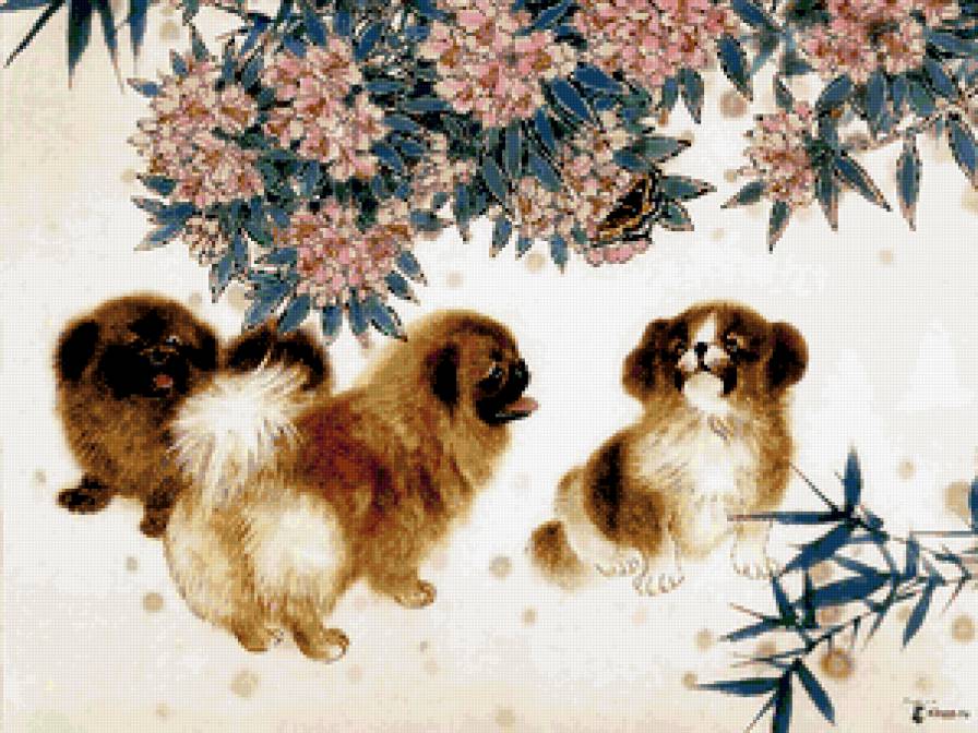 собачки - животные - предпросмотр