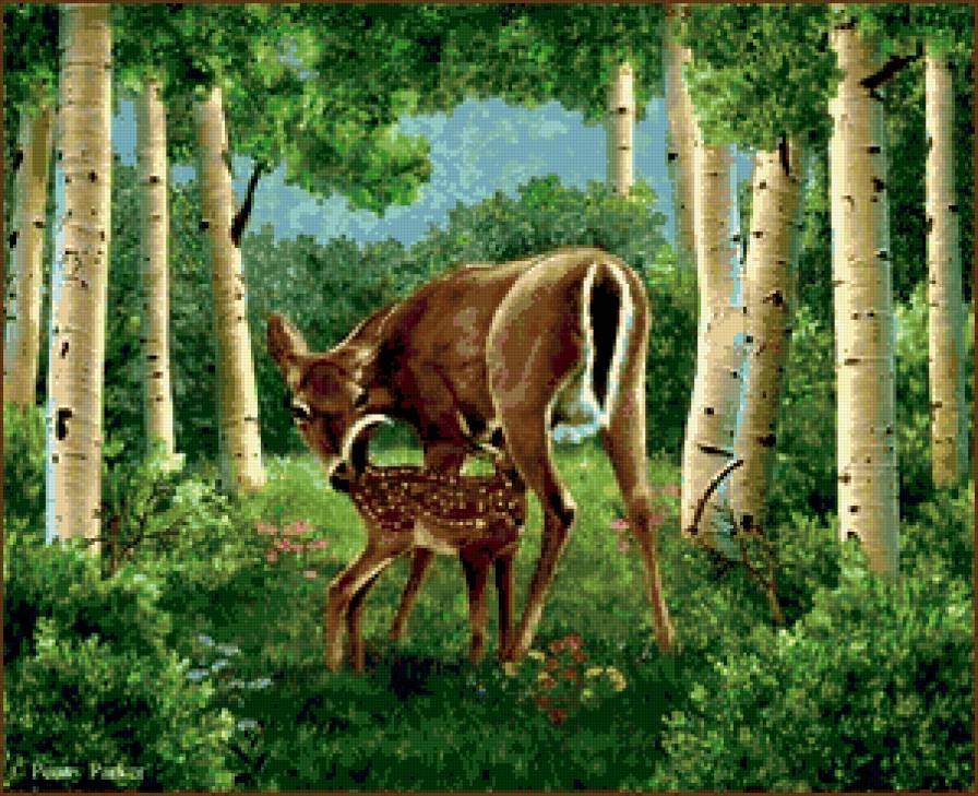 березовый край - картина - предпросмотр