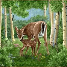 Схема вышивки «березовый край»