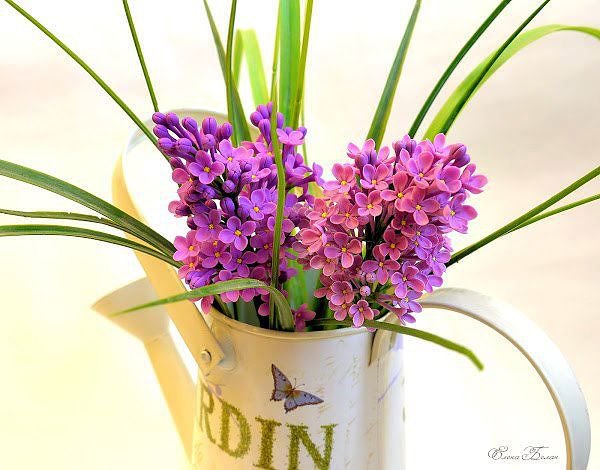 №316370 - оригинал