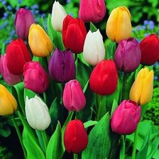 Схема вышивки «№316379»