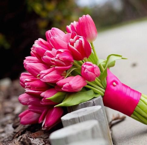 №316381 - оригинал