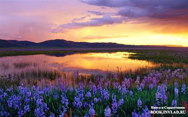 №316383 - оригинал