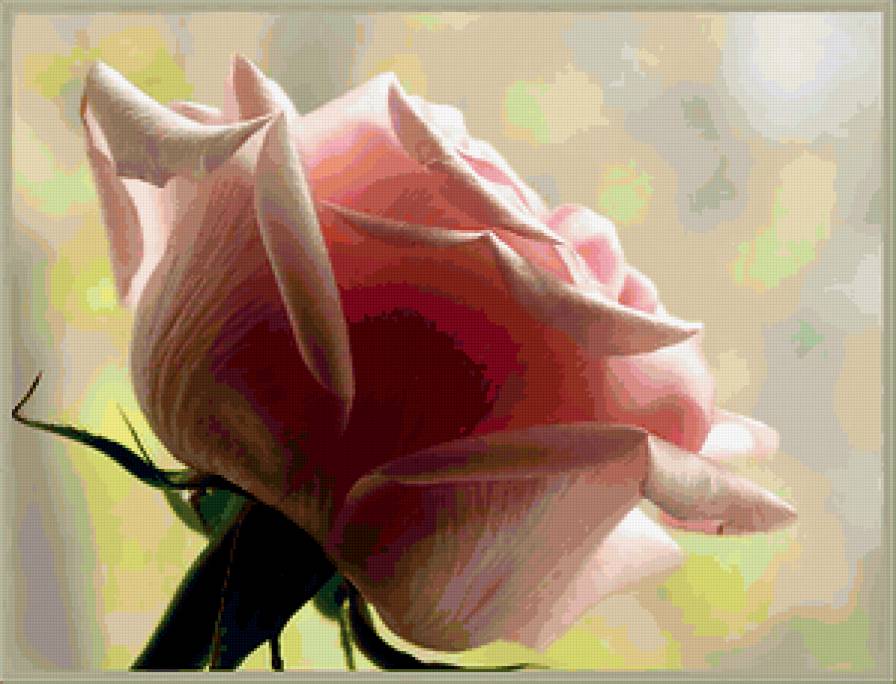 №316389 - предпросмотр